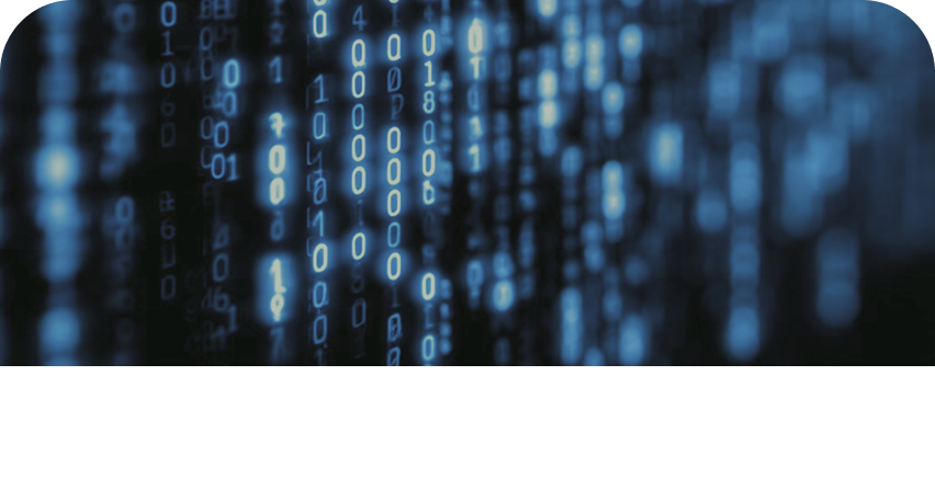 Explore the Codebase